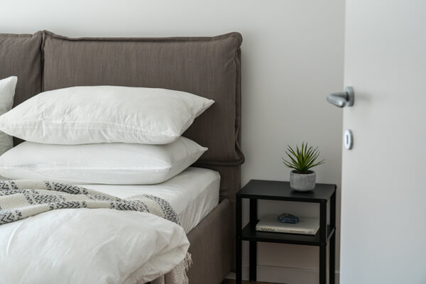 pexels-castorly-stock-3682238