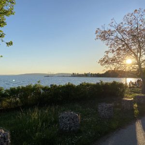 IMG_0628-p7b7enxvhonzzw3jvx6mrv73sys3y6w8fqb776o7nc