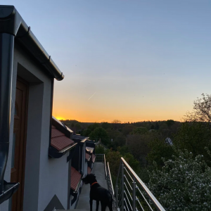 gallery-2-p72kow27au6neq25yb4s222x7y1evf59jacx4dxjnc